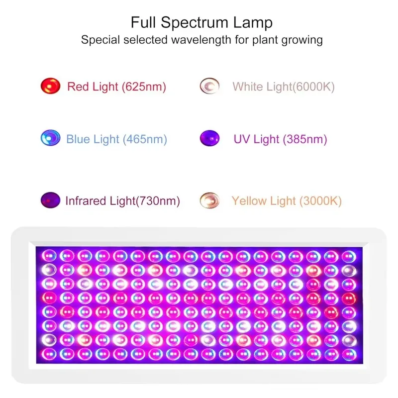 Nouvelle boîte à lumière UV 20 - Sneaker Box avis et prix